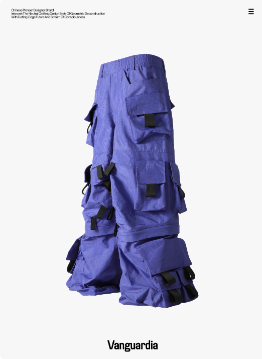 Vanguardia Wide-Leg Detachable Cargo Pants